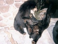 photos 2000-200901471
